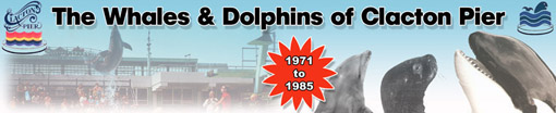 Click here to find out the history of the Clacton Whales & Dolphins