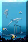 Dolphin Ocean-2003 (available to buy)