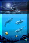 Whale Harmony-2003 (available to buy) also Signed Prints and Greeting Cards available