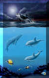 Whale Harmony-2003 (available to buy) also Signed Prints and Greeting Cards available